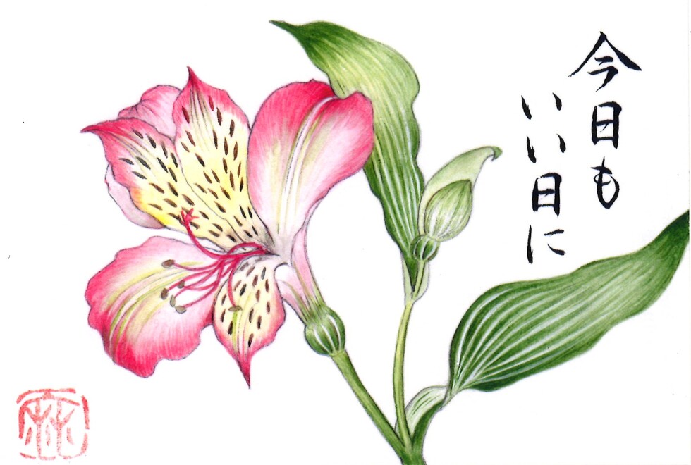 花のはがき絵 体験講座