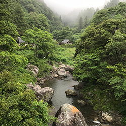 霧がとても幻想的