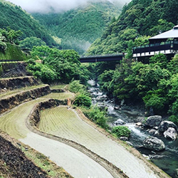 土佐山の風景