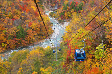 越後の紅葉美景めぐり3日間～谷川岳、奥只見湖、清津峡、苗場ドラゴンドラ、わたらせ渓谷鐵道～