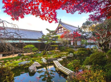 新居浜・慈眼寺「日本庭園秋の限定公開お抹茶付き」と 海の幸「せとうち御膳」＆「ひうちなだ温泉」日帰り入浴