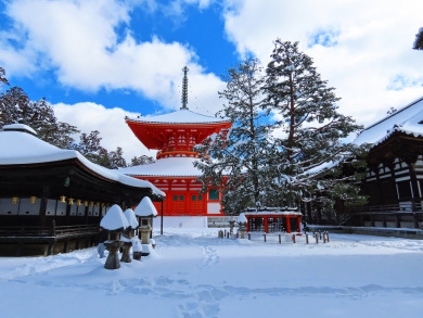 年末年始　奈良・高野山の旅３日間