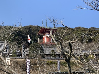 日和佐薬王寺初詣と伊勢海老潮騒会席 日和佐薬王寺初詣と伊勢海老潮騒会席
