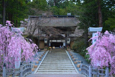 春薫る信仰の地～高野山と丹生都比売神社を訪ねて～