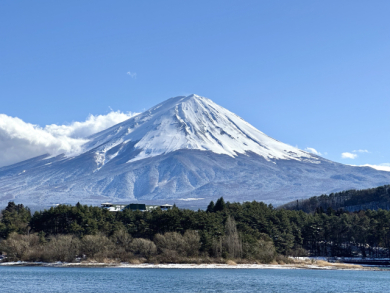 春の芸術紀行　河津桜と箱根の美を愉しむ3日間