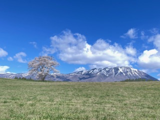 小岩井農場 小岩井農場