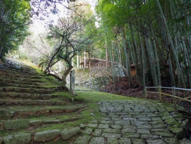 歴史の旅路・萩往還を歩く3日間（前編）～～日本海から瀬戸内まで全55km踏破～