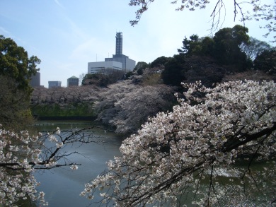 椿山荘に泊まる東京絶景さくら旅２日間　