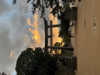 年越しは嶺北の湖畔で 四国と瀬戸内をめぐる厳島神社参拝3日間 年越しは嶺北の湖畔で 四国と瀬戸内をめぐる厳島神社参拝3日間