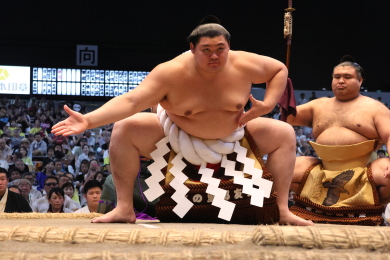 大相撲三月場所 日帰りツアー 大相撲三月場所 日帰りツアー