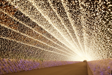 伊勢神宮と花と光の絶景 長島・鳥羽温泉3日間 伊勢神宮と花と光の絶景 長島・鳥羽温泉3日間
