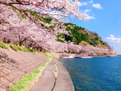 水と桜の絶景街道 ― 津山城・三方五湖・琵琶湖・天橋立3日間 水と桜の絶景街道 ― 津山城・三方五湖・琵琶湖・天橋立3日間