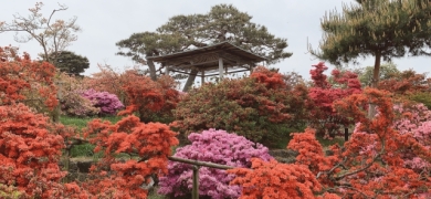 館林つつじが岡公園 館林つつじが岡公園