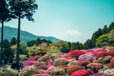小田急 山のホテル 小田急 山のホテル