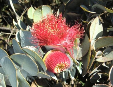 ハイキング ハイキング