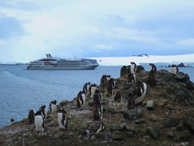 究極の絶景と野生動物の世界 大自然・南極上陸クルーズ17日間